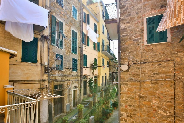CATEO image 2
