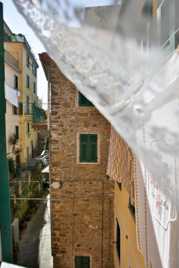 CATEO image 9